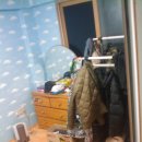형네 PC방 Daum카페