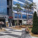 특허법인포레스트
