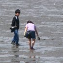 용인대백호체육관 Daum카페