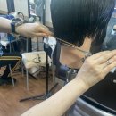 이용사 자격증 이미지