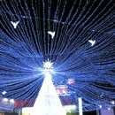 크리스마스 트리 축제 이미지