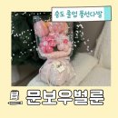 벌룬아카데미 | 송도풍선 문보우벌룬 유치원 어린이집 졸업풍선꽃다발