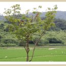 화순온천 이미지