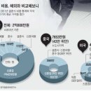미비교 티스토리