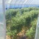 저온저장고 앞 이미지