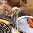 미스터갈매기