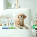 주식회사 엘림 | 강아지 유산균 묽은변 설사 물똥 고민엔 우리집막둥이
