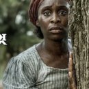 비거농장 | 영화치료-해리엇