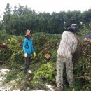 우용농장 이미지