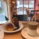 애플크럽 | 서울 강남 압구정카페 달링베이커리🍞 빵·커피·분위기 다 잡은 신사 대형카페