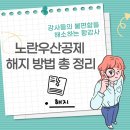 노란우산중앙회 | [강사들의 불편함을 해소하는 황강사 13번째] 노란우산공제 해지 방법 총 정리 (이자가 300만원 붙었어요!)