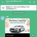 뉴리치모델 이미지