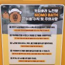 신화부분정비 | [제주] 서귀포 숙소 추천!! 신화 월드 100배 즐기기🎡🎡🎡🎡(모모쥬 동물원 / 인피니티 풀 편)