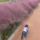 반남농장 이미지