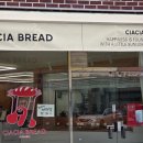 여수시청 | 여수 치아바타 맛집 차차브레드 / 여수시청 카페 내돈내산 후기