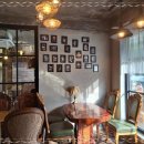 청주고양이입양지원센터 애니멀공화국 이미지