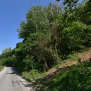 남천-1(남천면 행정복지센터 내) 이미지