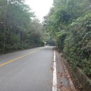 효평동 소공원 Daum카페