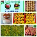 푸른샘농장 이미지