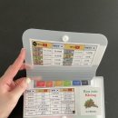 아나스프링 | 냐짱 아나만다라깜란 후기