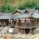 산수정 이미지