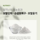 키헤어 이미지