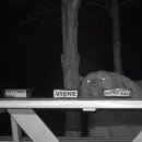 대박양봉 이미지