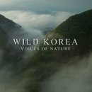 스튜디오와일드