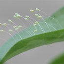 재송초등학교 이미지