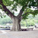 운산1리마을회관 이미지