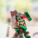 치화목장 | 강원도 계곡 캠핑장 홍천 용오름에서 여름 캠핑!