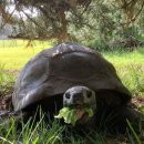 조나단목장 이미지