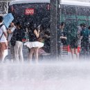 서울 70세 이상 어르신 버스도 무료 되나 이미지