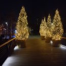 한티역약국 이미지