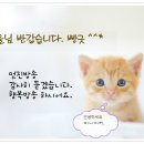 여울님 방가워요 빵긋요 이미지