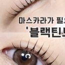 경기도 수원시 팔달구 인계로166번길 48-21 (인계동) 이미지