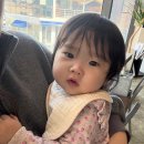 현지인이 추천하는 순천미용실 , 으른 머리도 잘 자르는데 아기 머리도 잘 자르는! 순천 모진호 헤어