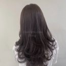 홍스타일 이미지