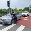 주정차단속-25 이미지