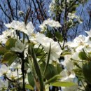 생활일어 이미지