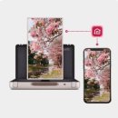 이마트 포항 이동점 이미지