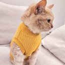 순대만족 이미지