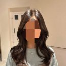 씨에스 - 서초구 서초대로 397 | 헤어도쿄 동해미용실 긴머리 씨에스컬펌 후기