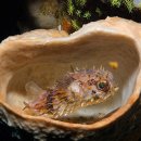 마지막 까지 동행 할 친구 이미지