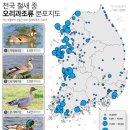 철새는 날아오고, 날아간다 이미지