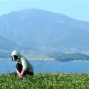 남해-302 이미지