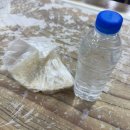 25시 | 강릉 주문진 이장우 생선구이 맛집 구이본부25시 내돈내산 후기