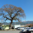 용방면사무소 이미지