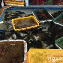 바닷가수산시장 이미지