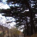 팔공산올레길 7코스 이미지